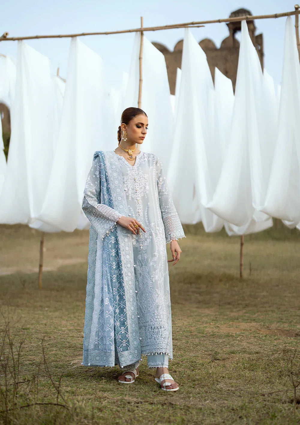 Aik Atelier | Pardes Lawn 24 | LOOK 05 - Aqsa Fabrics