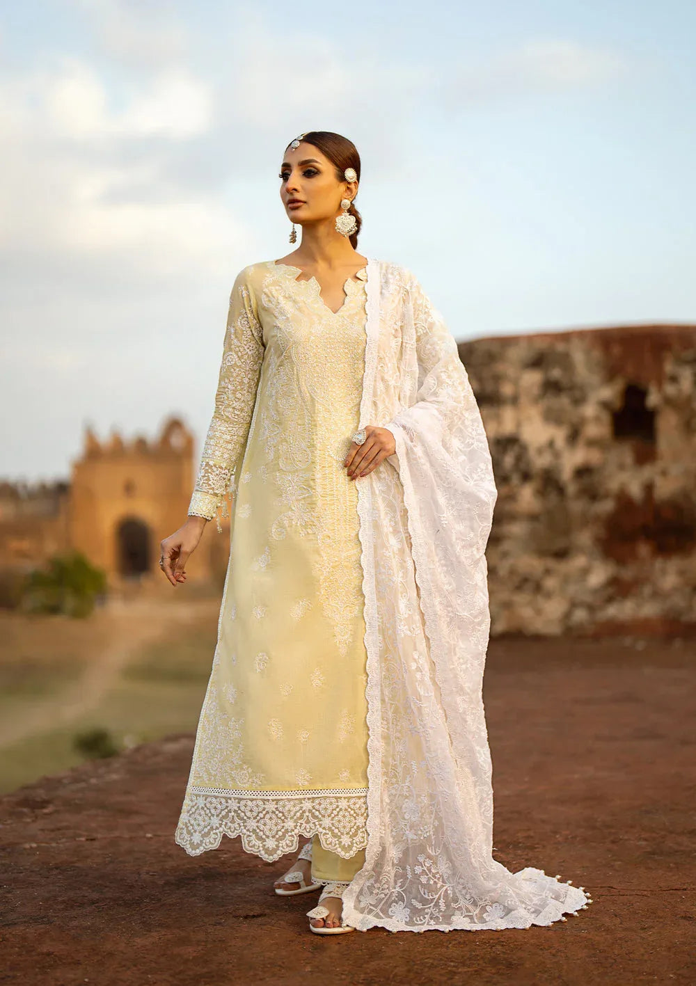 Aik Atelier | Pardes Lawn 24 | LOOK 06 - Aqsa Fabrics