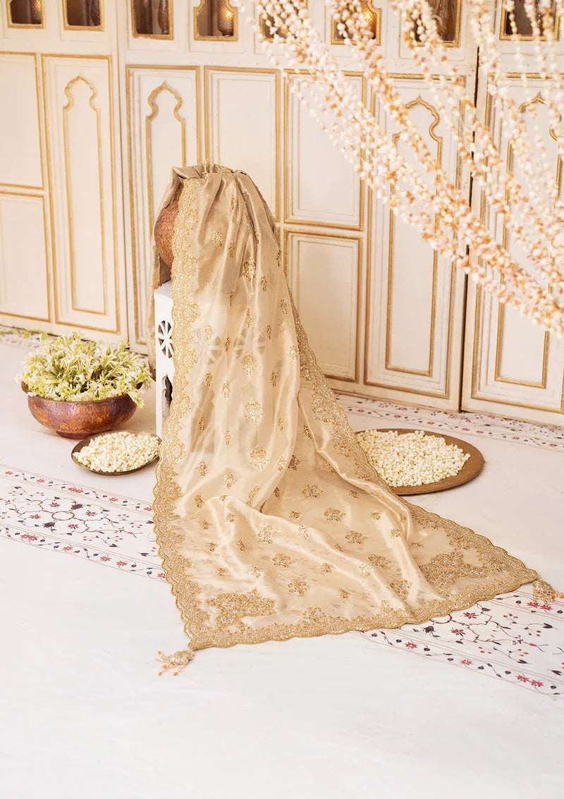 Aik Atelier | LIGHT GOLD TISSUE SHAWL - Aqsa Fabrics