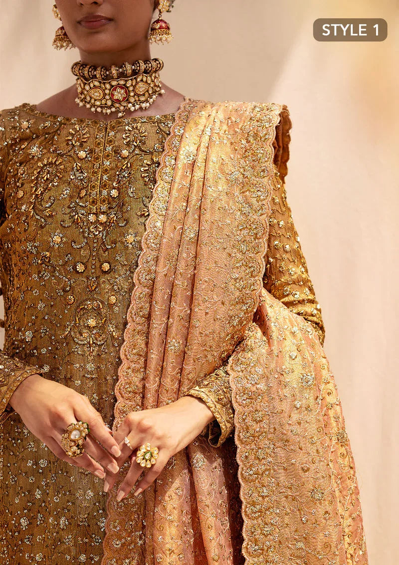 Aik Atelier | Wedding Festive 24 | LOOK 02 - Aqsa Fabrics