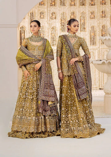 Aik Atelier | Wedding Festive 24 | LOOK 04 - Aqsa Fabrics