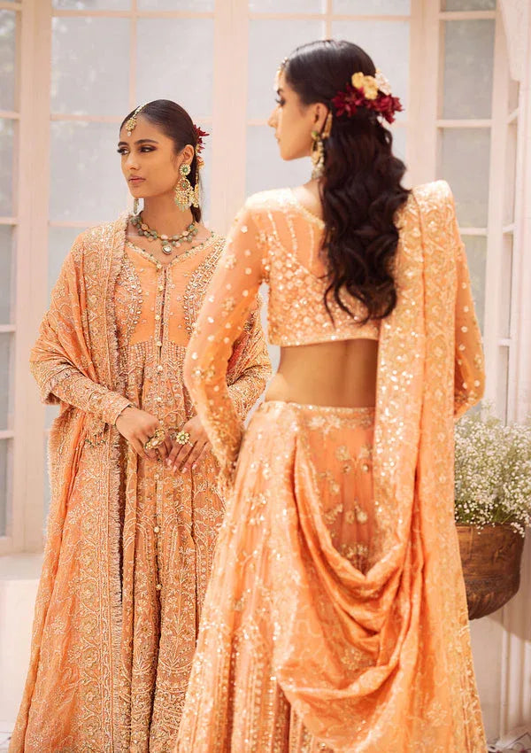 Aik Atelier | Wedding Festive 24 | LOOK 06 - Aqsa Fabrics