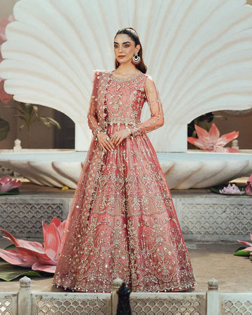 Ain | Naulakha Wedding Festive 24 | AR-142 ZORA - Aqsa Fabrics