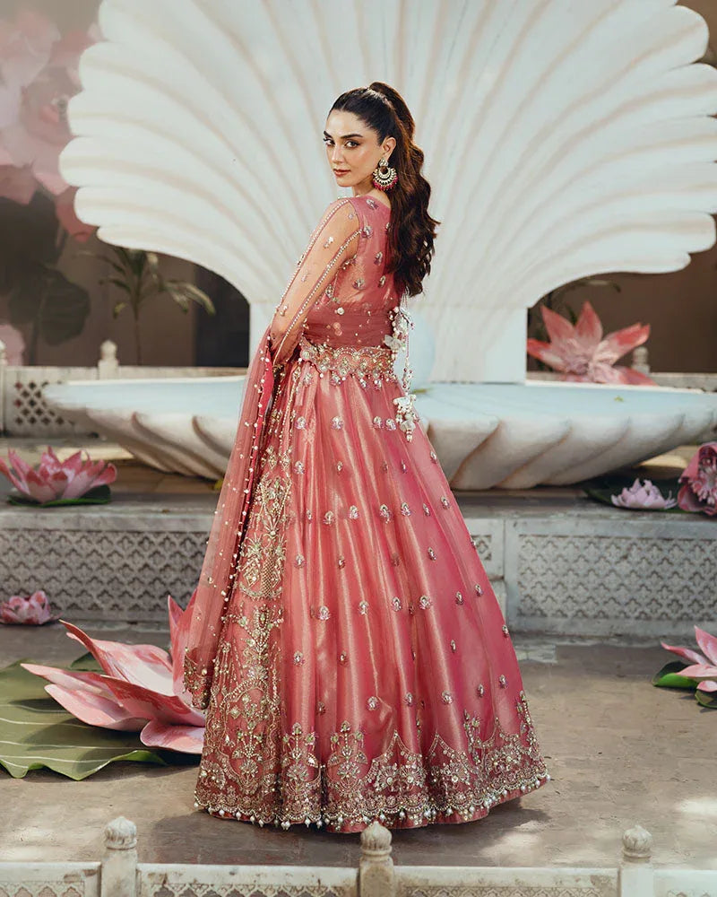 Ain | Naulakha Wedding Festive 24 | AR-142 ZORA - Aqsa Fabrics