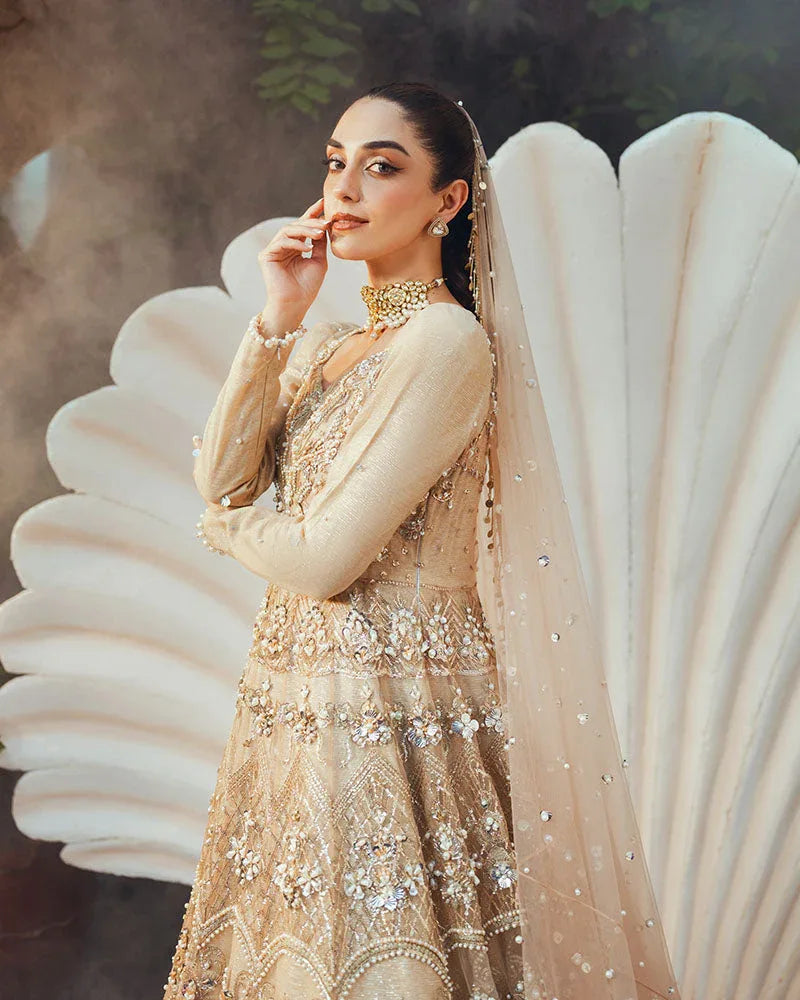 Ain | Naulakha Wedding Festive 24 |  AR-144 SHELL - Aqsa Fabrics