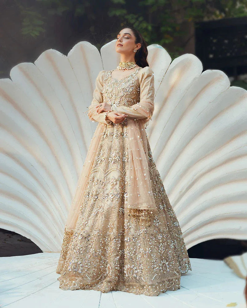 Ain | Naulakha Wedding Festive 24 |  AR-144 SHELL - Aqsa Fabrics