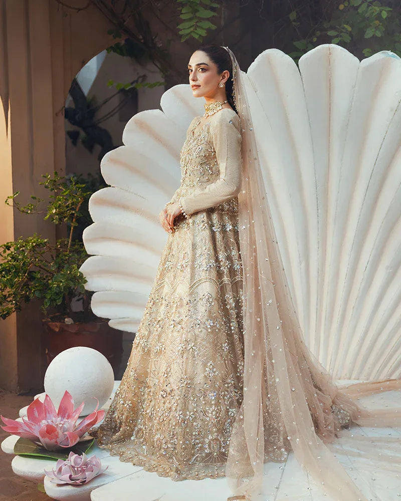 Ain | Naulakha Wedding Festive 24 |  AR-144 SHELL - Aqsa Fabrics