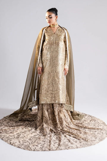 Maryum N Maria | Luna Formals | AMAIRS - Aqsa Fabrics