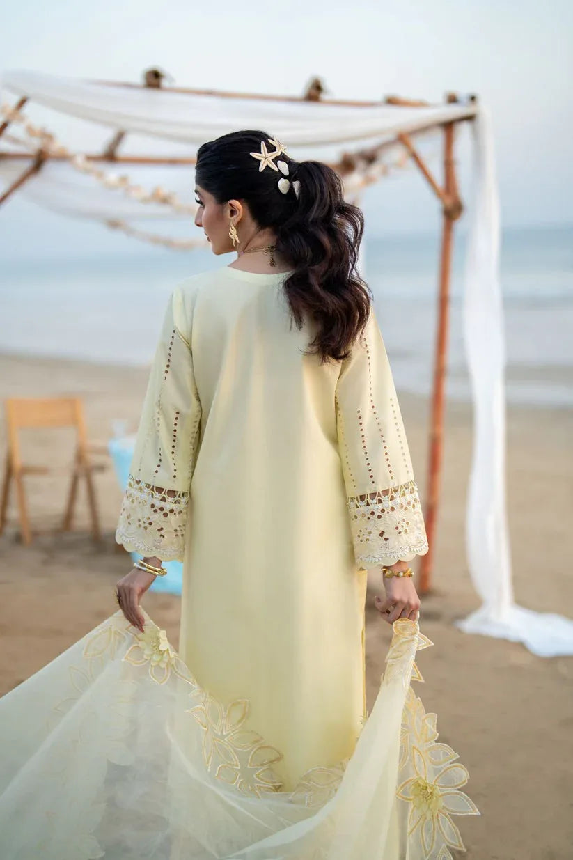 Aabyaan | Saagar Luxury Lawn 25 | SOFINA (AS-07) - Aqsa Fabrics