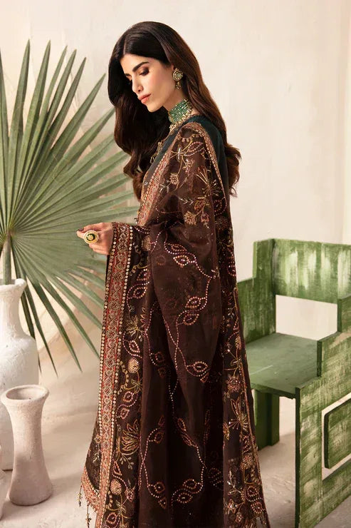 Alizeh | Heer Festive Collection 24 | Hazel - V17D01 - Aqsa Fabrics