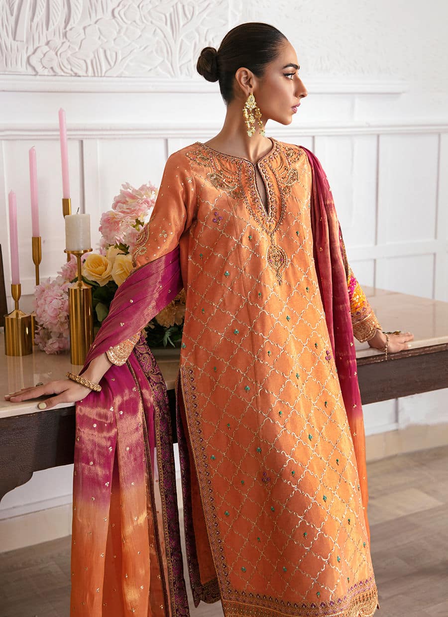 Farah Talib Aziz | Mayna Festive Luxe | ALEEN APRICOT - Aqsa Fabrics