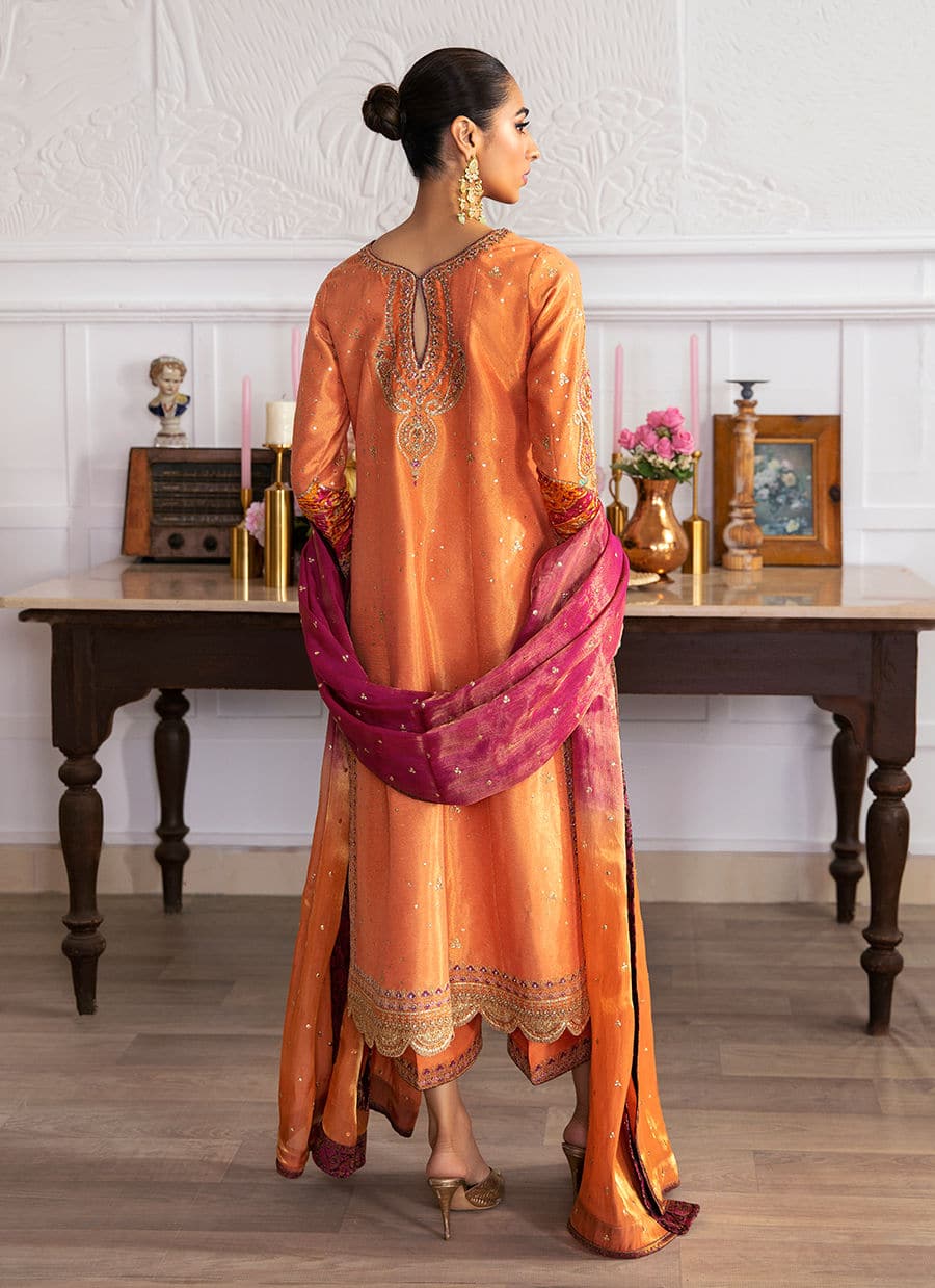 Farah Talib Aziz | Mayna Festive Luxe | ALEEN APRICOT - Aqsa Fabrics