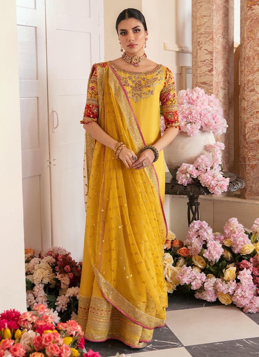 Farah Talib Aziz | Mayna Festive Luxe | AQIQ KIWI - Aqsa Fabrics