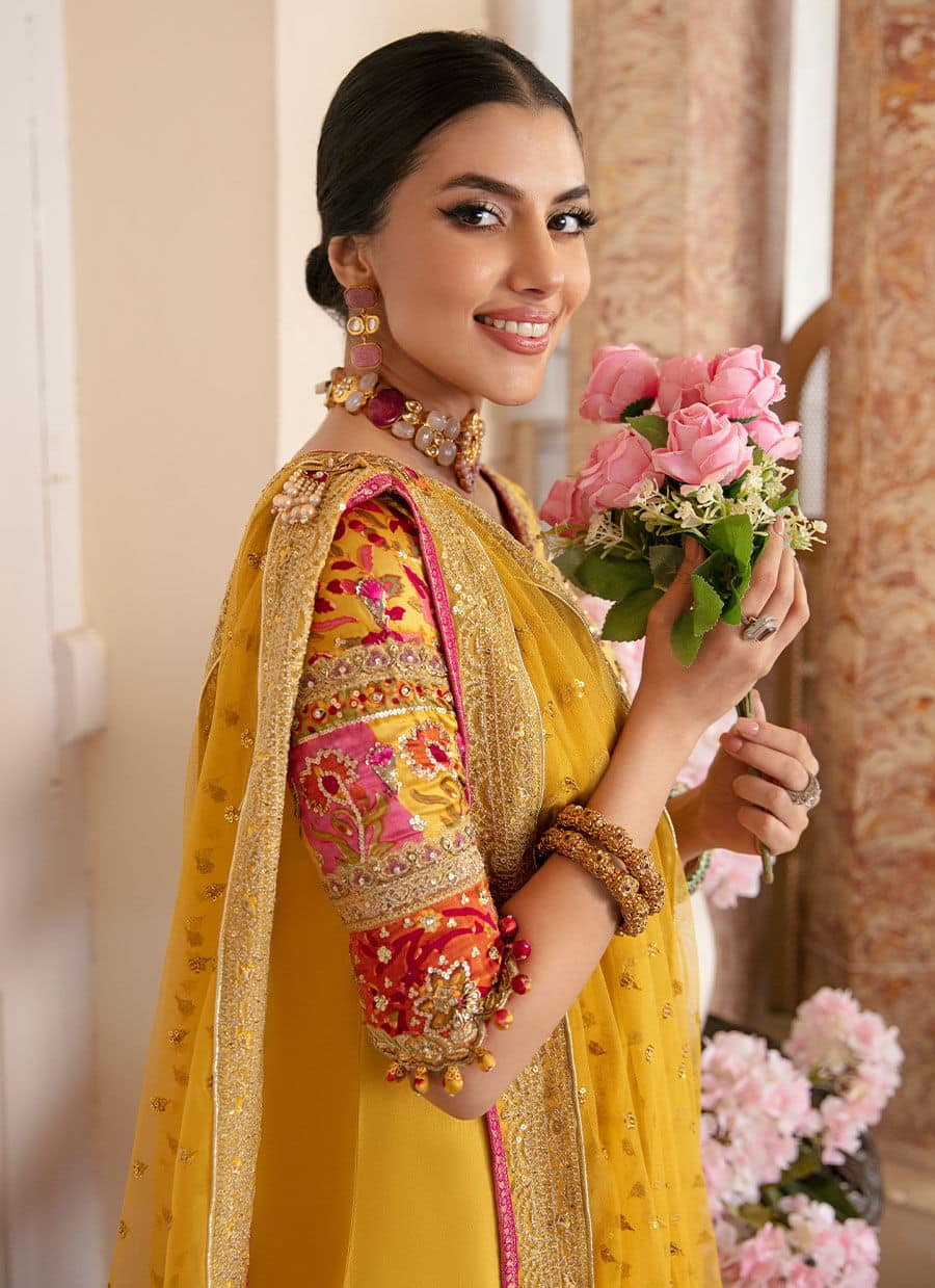 Farah Talib Aziz | Mayna Festive Luxe | AQIQ KIWI - Aqsa Fabrics