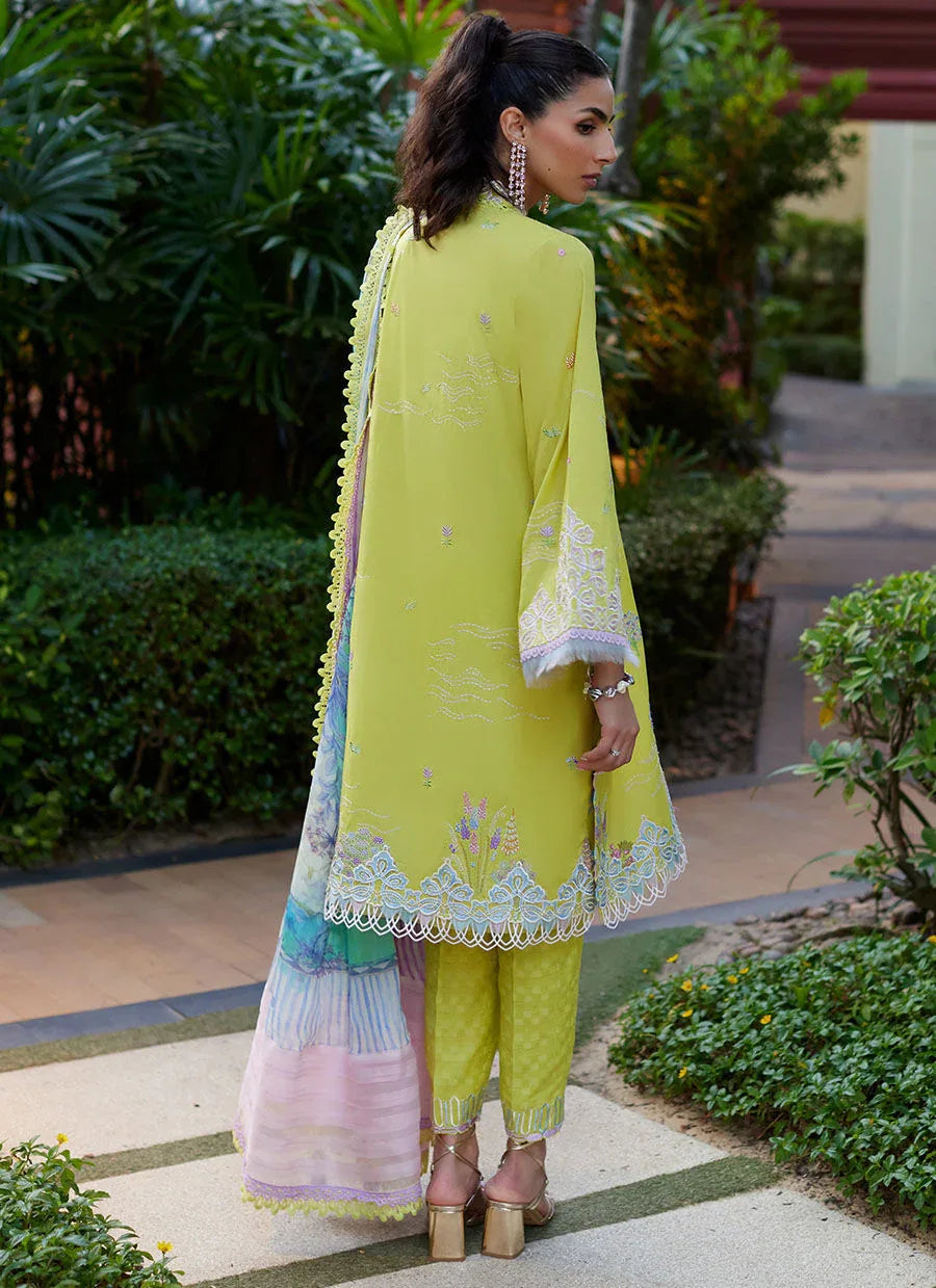 Farah Talib Aziz | Suay Lawn 24 | KELAYA KIWI - Aqsa Fabrics