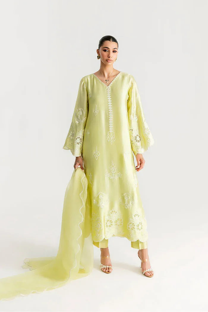 Saira Rizwan | Silk Pret 25 | SAHARA - Aqsa Fabrics