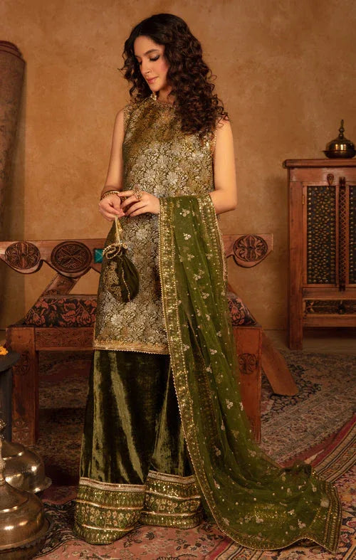 Maya | Raazi Velvet 24 | GULZAR - Aqsa Fabrics