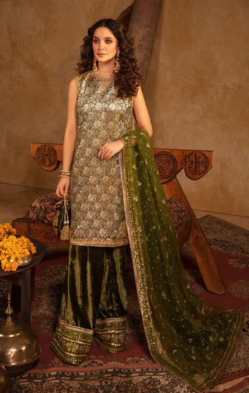 Maya | Raazi Velvet 24 | GULZAR - Aqsa Fabrics