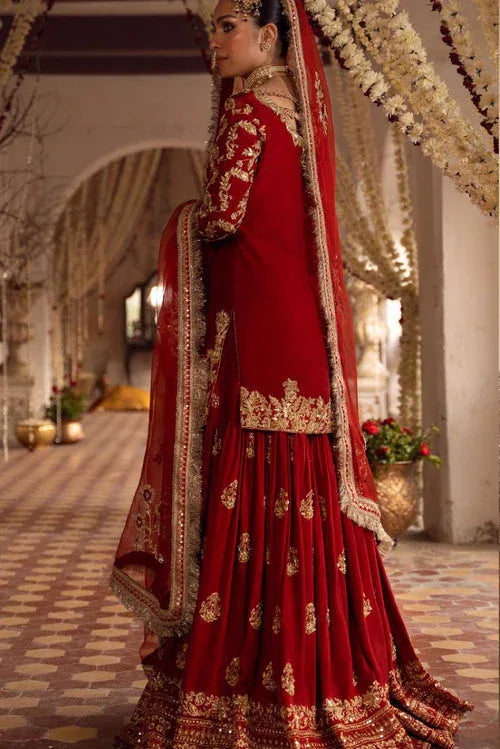 Maya | Wedding Formal Raabta | AFREEN - Aqsa Fabrics