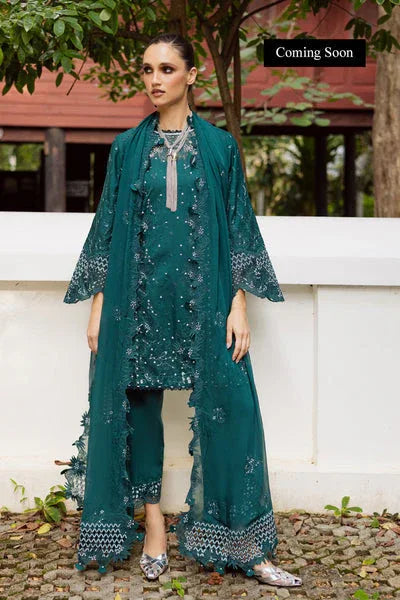 Marjjan | Lovella Winter 25 | MEV-44 B (ZINC) - Aqsa Fabrics