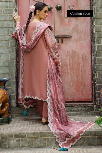 Marjjan | Lovella Winter 25 | MEV-47 A (PINK) - Aqsa Fabrics