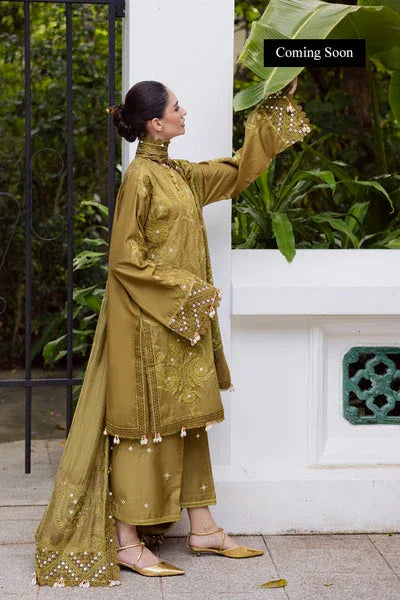 Marjjan | Lovella Winter 25 | MEV-43 A (OLIVE) - Aqsa Fabrics