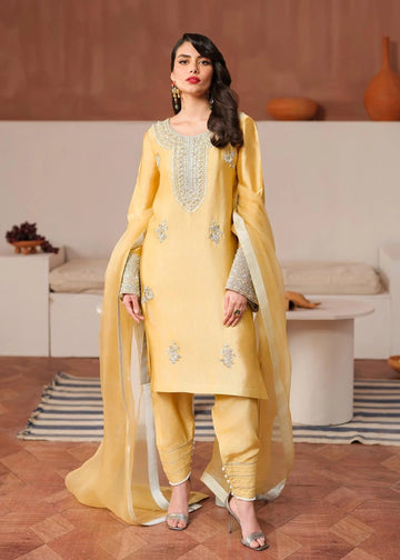 Mahum Asad | Raising The Bar | Bombshell - Aqsa Fabrics