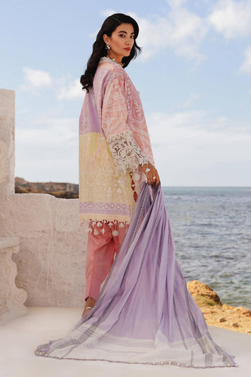 Sana Safinaz | Muzlin Spring 24 | M241-015A-DG - Aqsa Fabrics