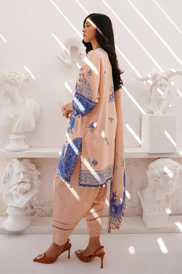 Sana Safinaz | Muzlin Spring 24 | M241-007B-CJ - Aqsa Fabrics