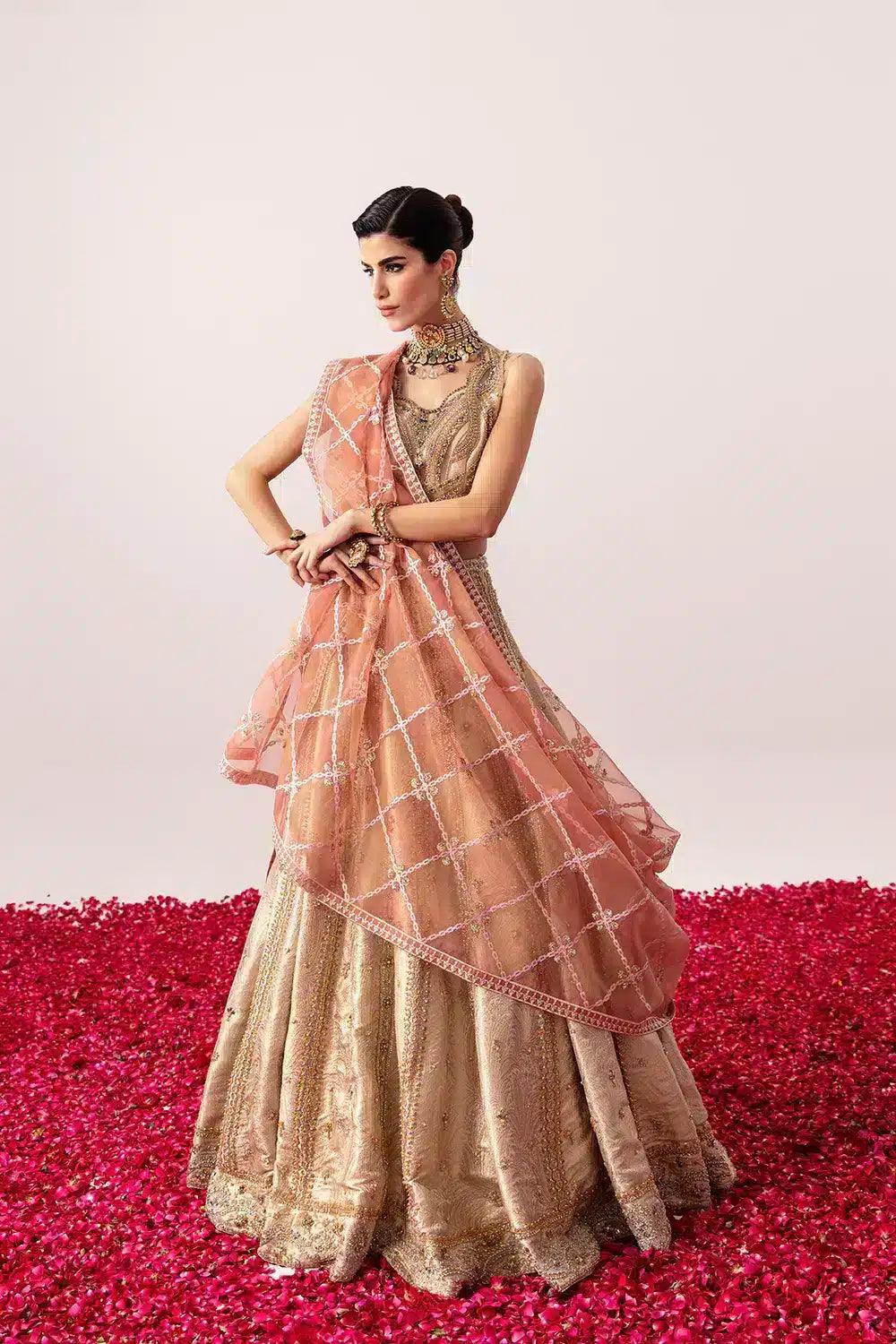 Mysie by Tahira | Festive Formals 24 | Amara - Aqsa Fabrics