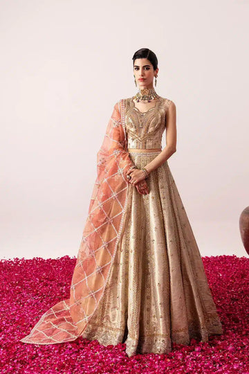 Mysie by Tahira | Festive Formals 24 | Amara - Aqsa Fabrics