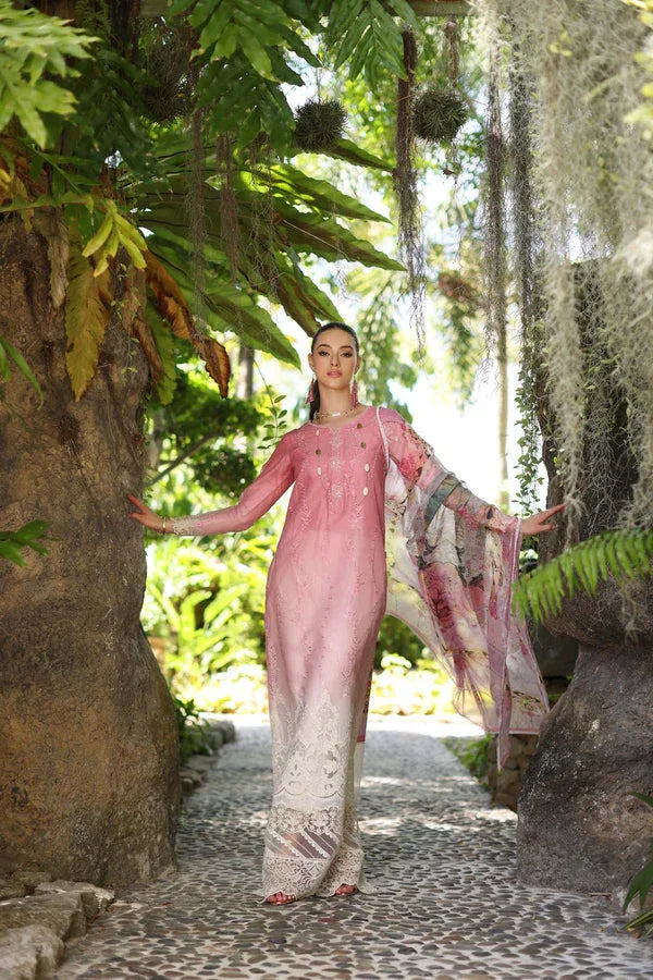 Noor by Saadia Asad | Luxury Chikankari Lawn24 | D1-A Pink Ombre - Aqsa Fabrics