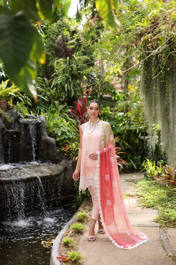 Noor by Saadia Asad | Luxury Chikankari Lawn24 | D7-B Peach Tkm - Aqsa Fabrics