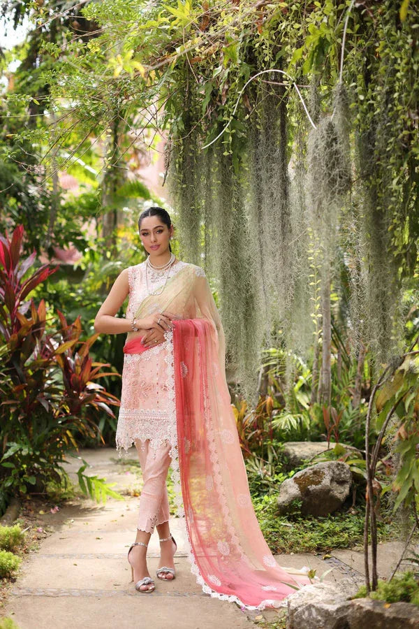 Noor by Saadia Asad | Luxury Chikankari Lawn24 | D7-B Peach Tkm - Aqsa Fabrics