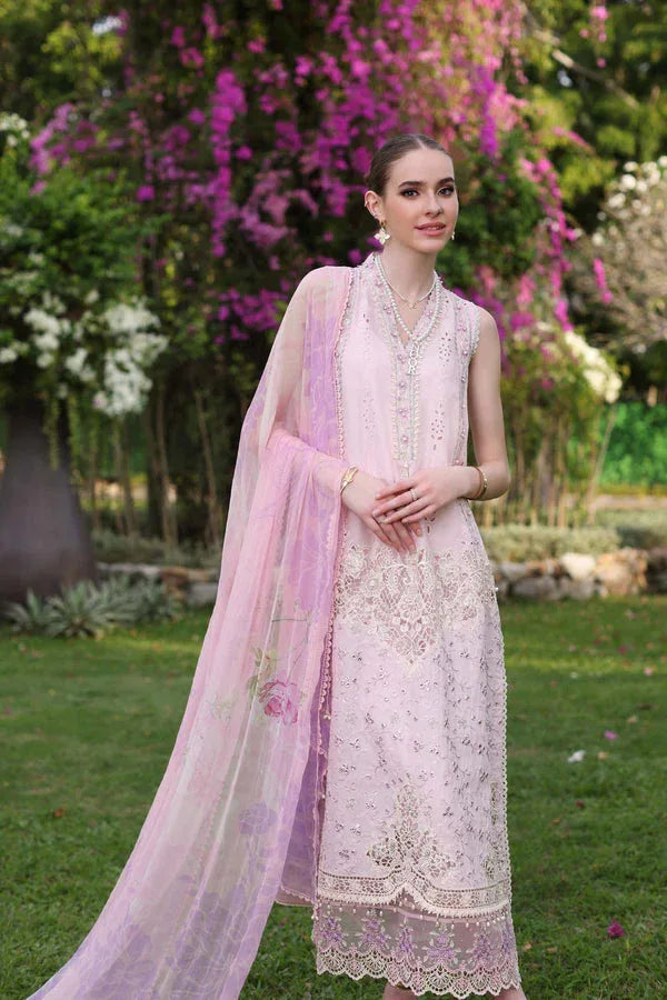 Noor by Saadia Asad | Luxury Chikankari Lawn24 | D11-A Pink Schifli - Aqsa Fabrics