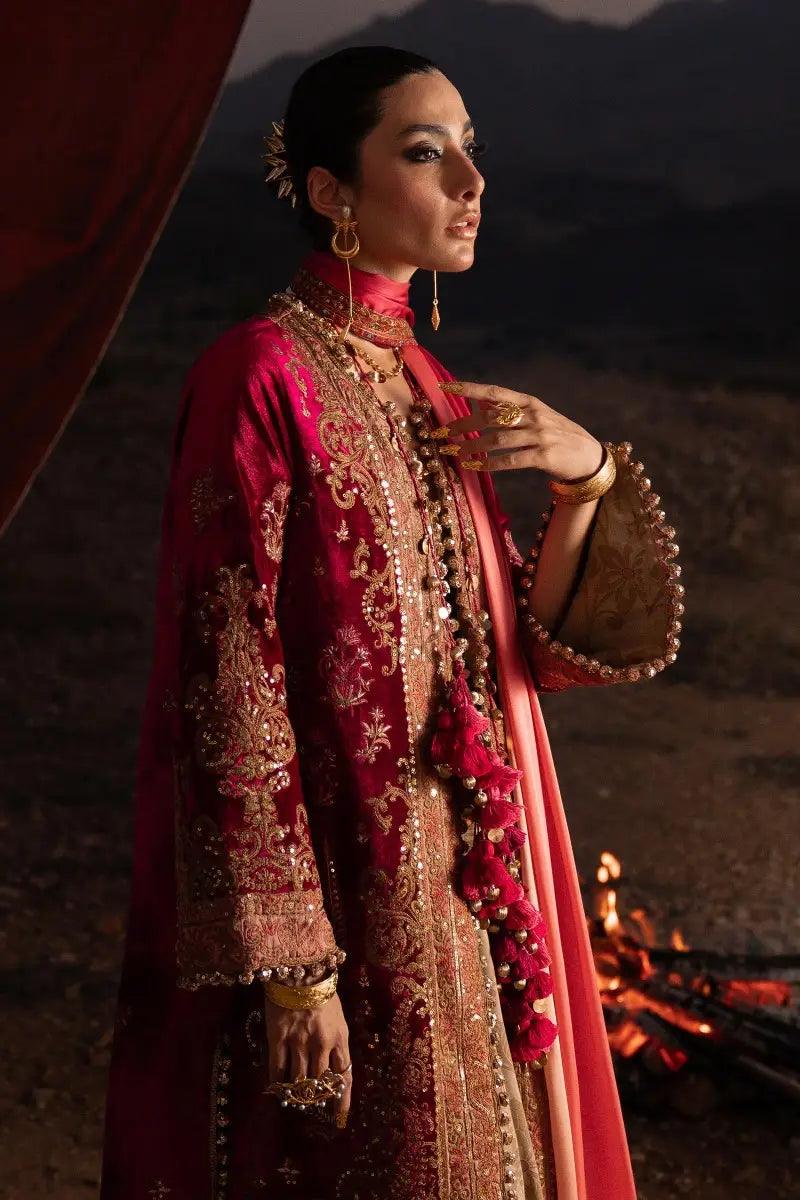 Sana Safinaz | Winter Luxury 23 | V231-004-DE - Aqsa Fabrics