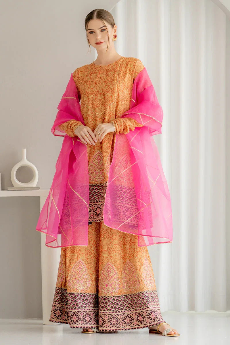 Ego | Diva Premium | NOORI 3 PIECE - Aqsa Fabrics