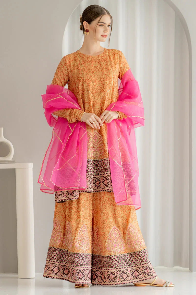Ego | Diva Premium | NOORI 3 PIECE - Aqsa Fabrics