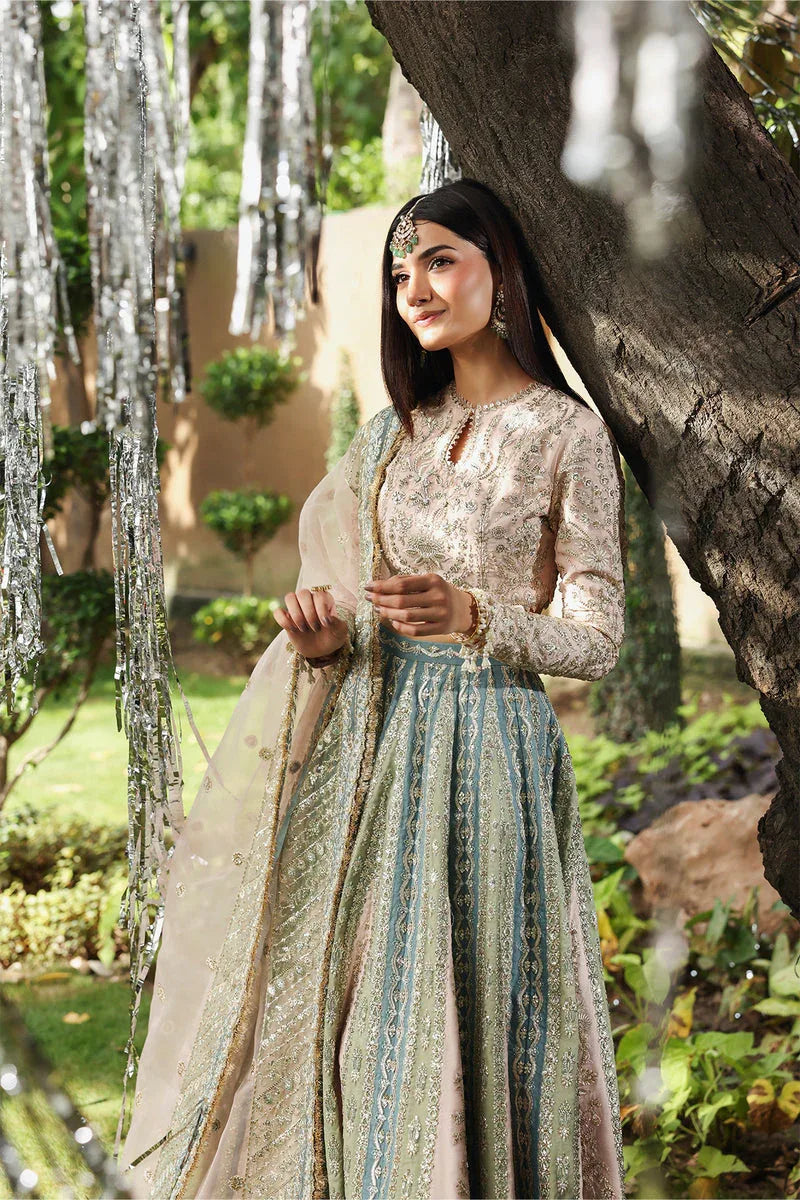 Afrozeh | Dastangoi 25 | Petalhour - Aqsa Fabrics