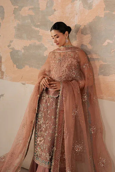 Ayzel | Solaris Wedding Formals 25 | ROSARA - Aqsa Fabrics