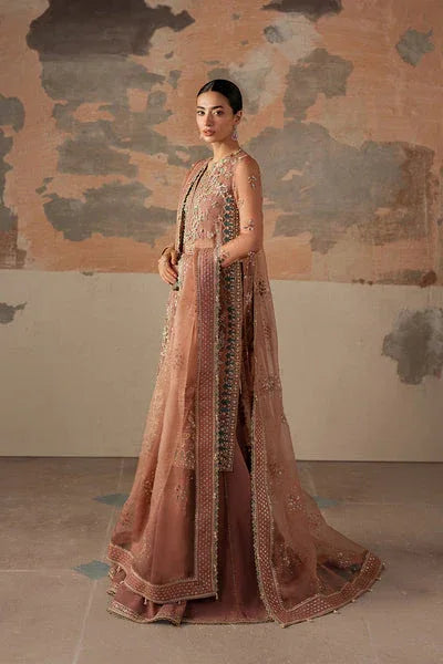 Ayzel | Solaris Wedding Formals 25 | ROSARA - Aqsa Fabrics
