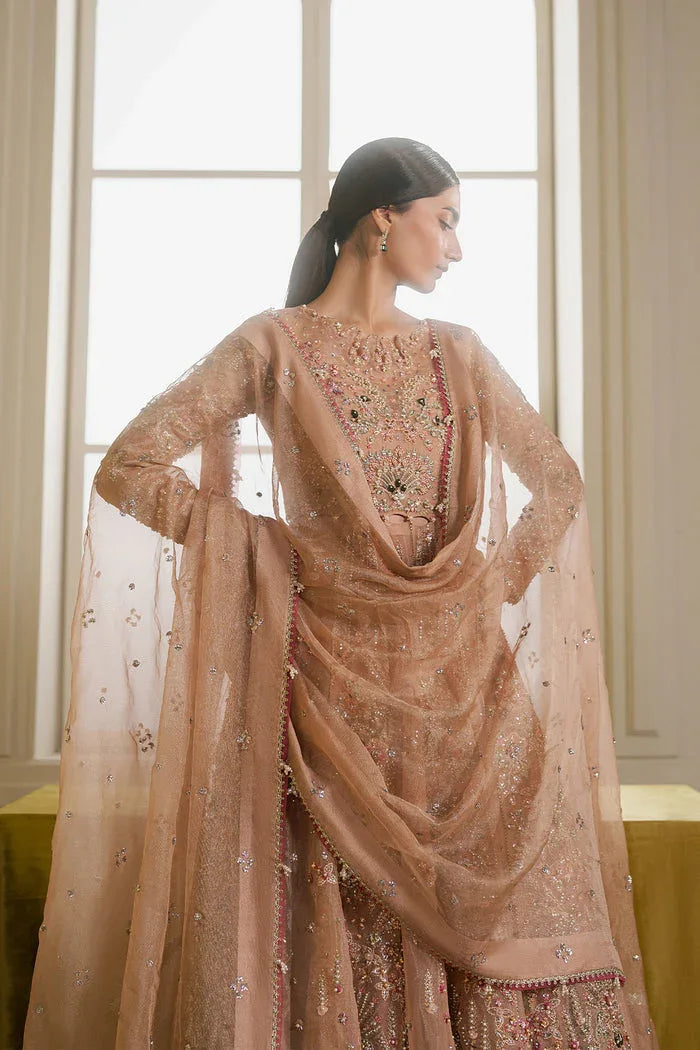 Ayzel | Solaris Wedding Formals 25 | AURALIS - Aqsa Fabrics