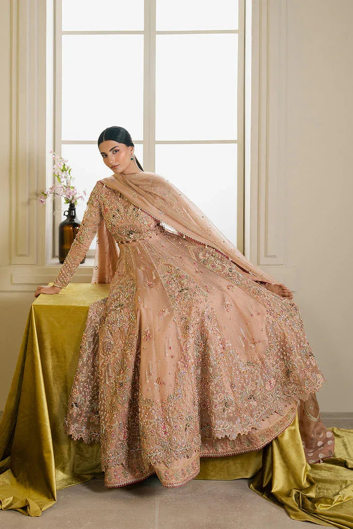 Ayzel | Solaris Wedding Formals 25 | AURALIS - Aqsa Fabrics