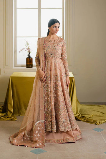Ayzel | Solaris Wedding Formals 25 | AURALIS - Aqsa Fabrics