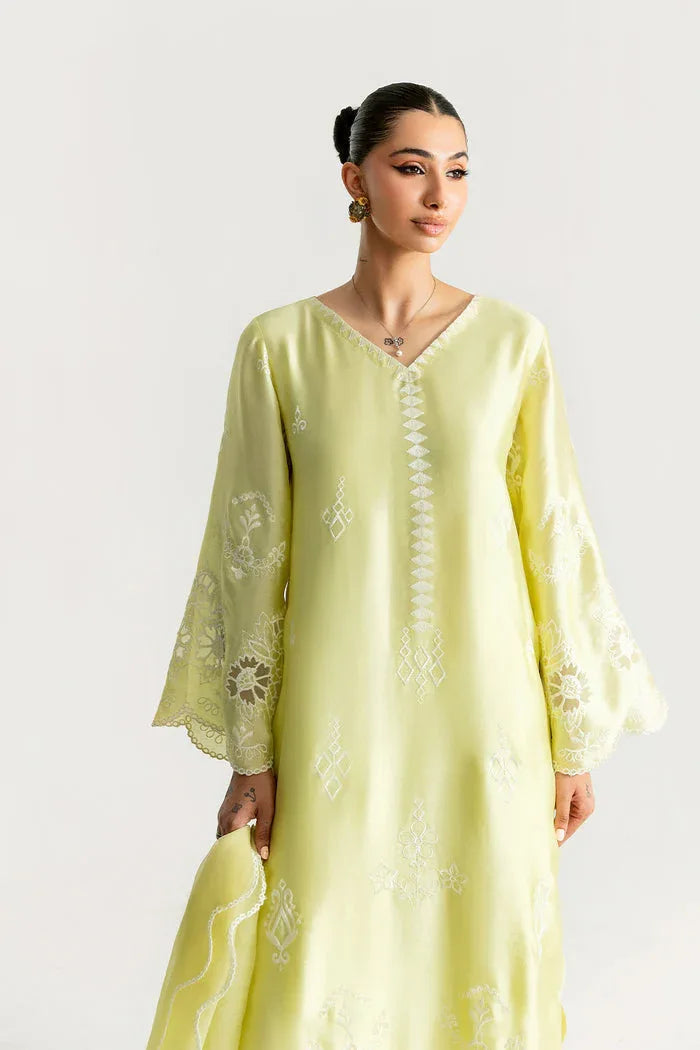 Saira Rizwan | Silk Pret 25 | SAHARA - Aqsa Fabrics